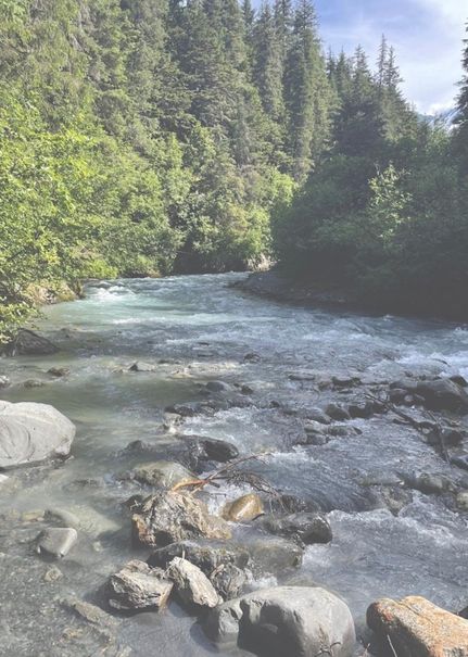 Land in Pennington County, South Dakota