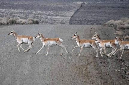 Undeveloped Land in Lake County, Oregon
