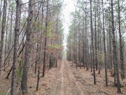Recreational Property in Coosa County, Alabama