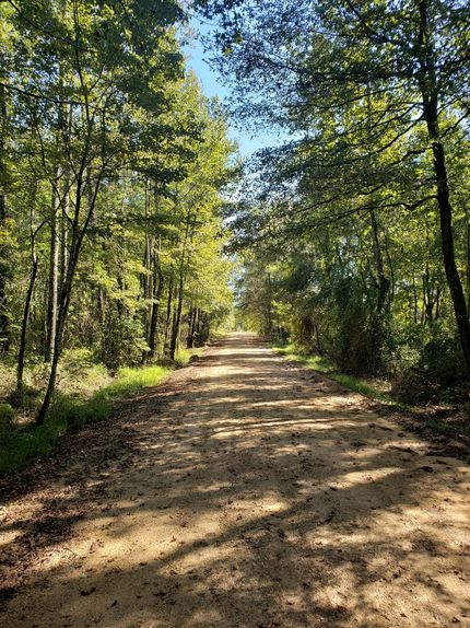 Land in Lafayette County, Arkansas