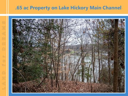 Timberland Property in Caldwell County, North Carolina