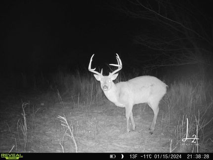 Land in Woodson County, Kansas