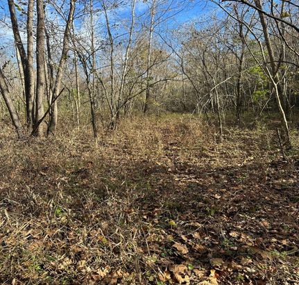 Recreational Property in Madison County, Arkansas
