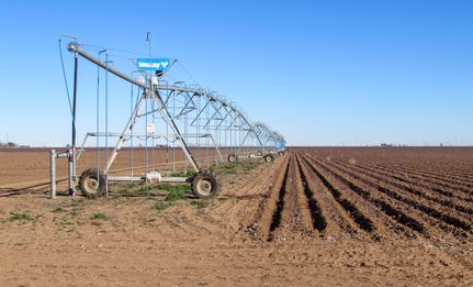 Farm and Ranch in Hale County, Texas