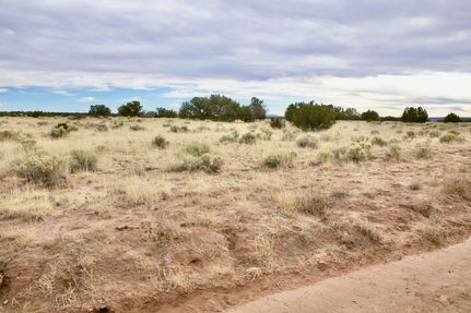 Undeveloped Land in Apache County, Arizona