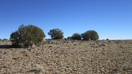 Farm and Ranch in Apache County, Arizona