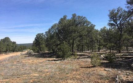 Undeveloped Land in Cibola County, New Mexico