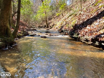 Recreational Property in Tuscaloosa County, Alabama