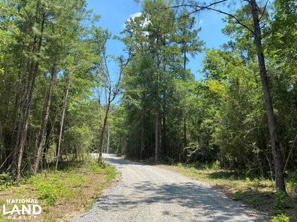 Timberland Property in Pearl River County, Mississippi