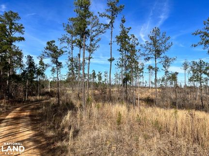 Recreational Property in Leake County, Mississippi