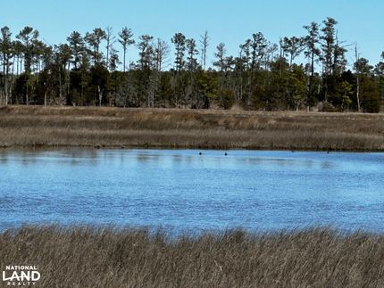 Timberland Property in Mathews County, Virginia