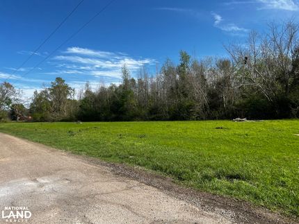 Recreational Property in Dallas County, Alabama