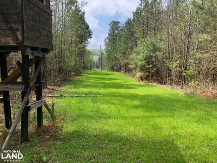 Farm and Ranch in Lawrence County, Alabama