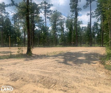 Undeveloped Land in Livingston Parish, Louisiana