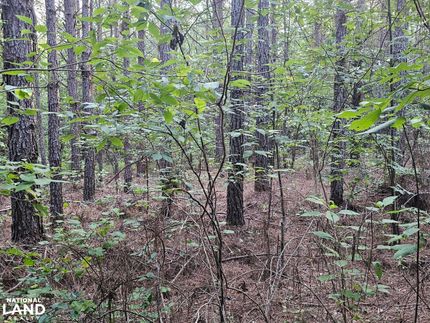 Recreational Property in Marion County, Alabama