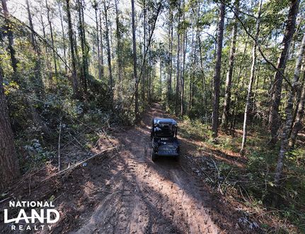Undeveloped Land in Santa Rosa County, Florida