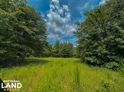 Timberland Property in Dallas County, Alabama