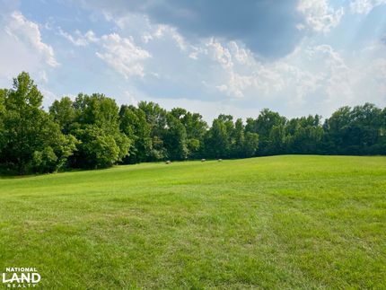 Undeveloped Land in Edgefield County, South Carolina