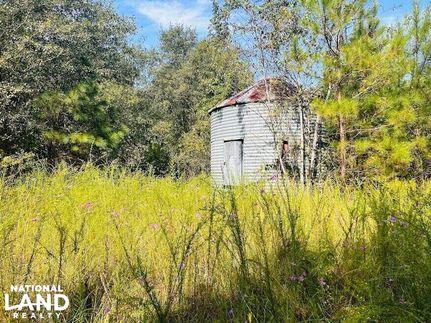 Land in Laurens County, Georgia