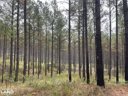 Recreational Property in Lamar County, Alabama