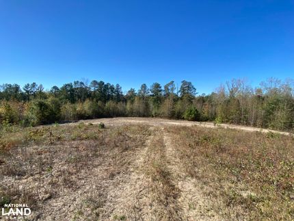 Timberland Property in Chilton County, Alabama