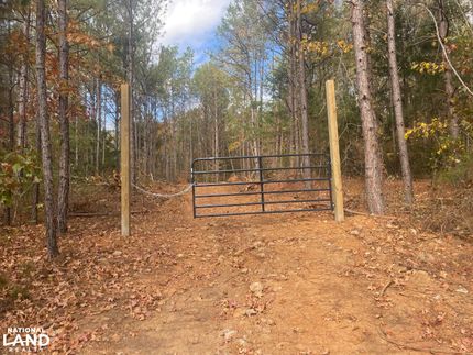 Timberland Property in Marion County, Alabama