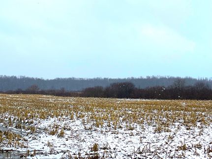 Land in Cattaraugus County, New York