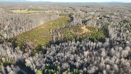 Undeveloped Land in Amherst County, Virginia