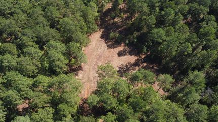 Farm and Ranch in Union Parish, Louisiana
