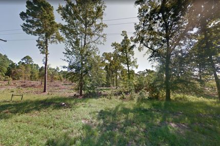 Undeveloped Land in Marion County, Texas
