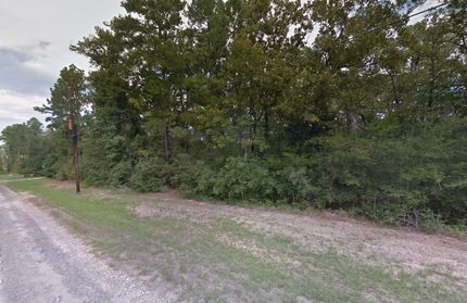 Undeveloped Land in Trinity County, Texas