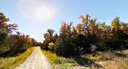 Undeveloped Land in Izard County, Arkansas