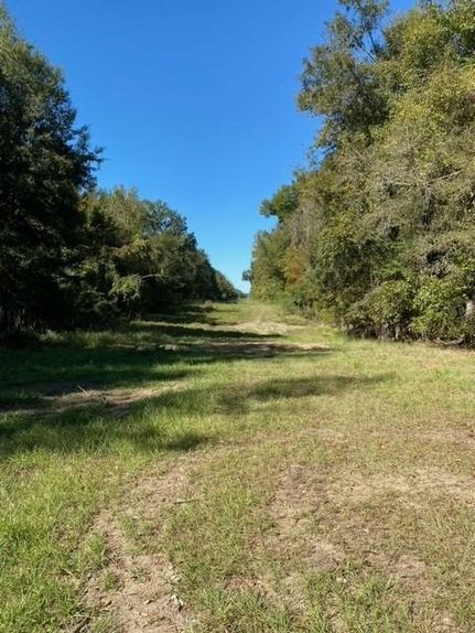 Timberland Property in George County, Mississippi