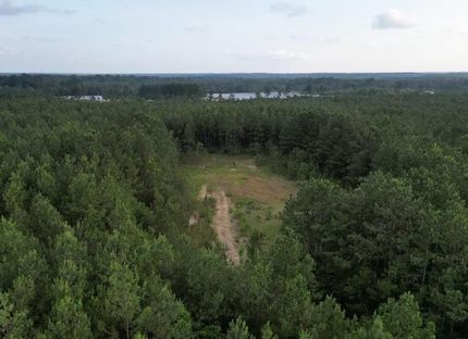 Hunting Property in Wayne County, Mississippi