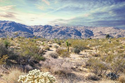 Farm and Ranch in San Bernardino County, California