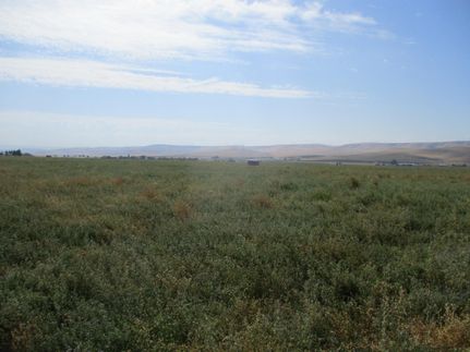 Undeveloped Land in Walla Walla County, Washington