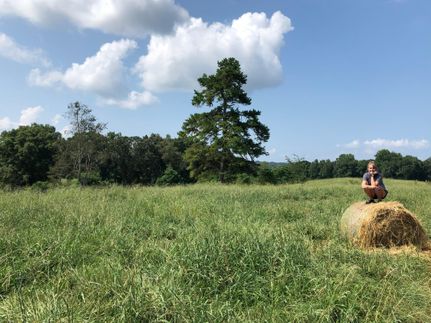 Hunting Property for sale in Banks County, Georgia