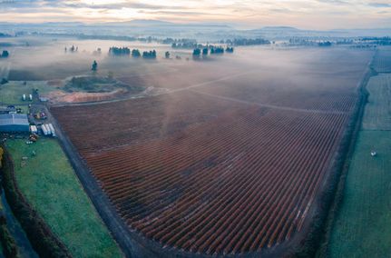 Undeveloped Land in Marion County, Oregon