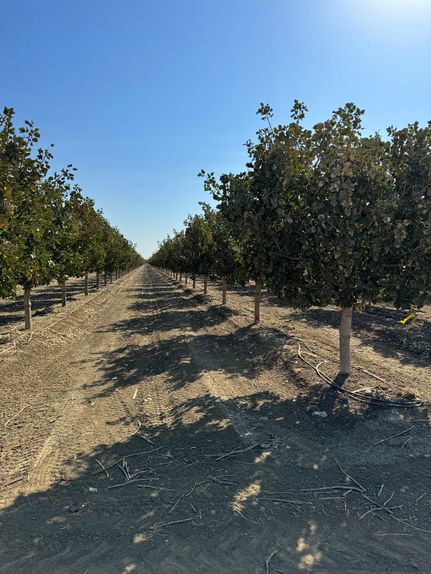Land for sale in Fresno County, California