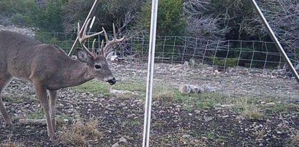 Farm and Ranch in Edwards County, Texas