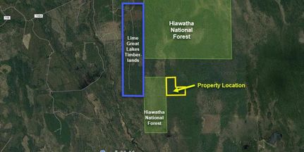 Undeveloped Land in Alger County, Michigan