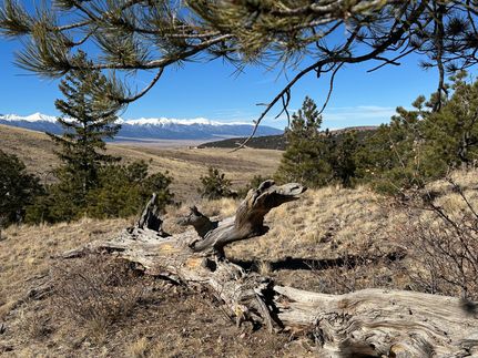 Undeveloped Land in Custer County, Colorado