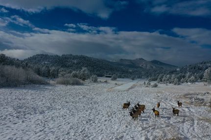 Farm and Ranch in Larimer County, Colorado
