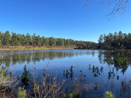 Commercial Property in Emanuel County, Georgia