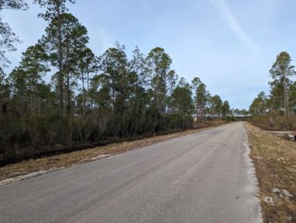 Undeveloped Land in Columbia County, Florida