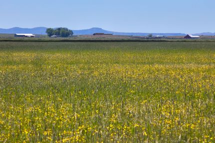 Land in Crook County, Oregon