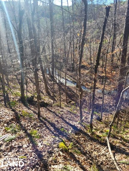 Recreational Property in Marion County, Alabama