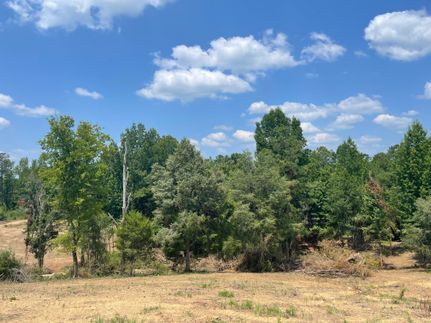 Recreational Property in Bibb County, Alabama