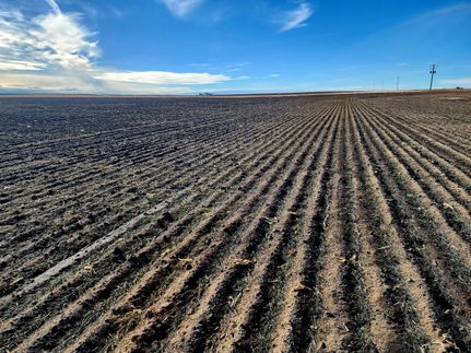 Farm and Ranch in Cheyenne County, Nebraska