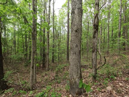 Land in Prentiss County, Mississippi